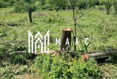 Teren Construcții intravilan de 8300 mp, în Sălătrucel - 3