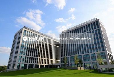 Spațiu comercial, de 800 mp, în Timpuri Noi - 1