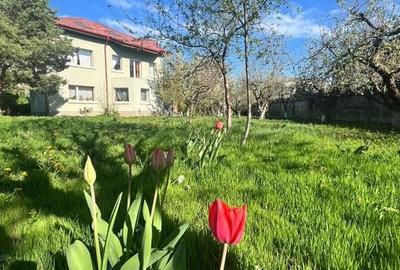 POVESTEA UNEI CASE PENTRU GENERATII  | VILA CU FARMEC, LUMINA SI TEREN 1618 MP POVESTEA UNEI CASE PENTRU GENERATII  | VILA CU FARMEC, LUMINA SI TEREN 1618 MP - 46