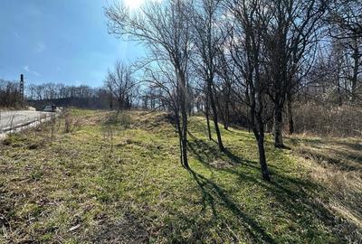 Teren de 828 mp, în Curăturile - 6