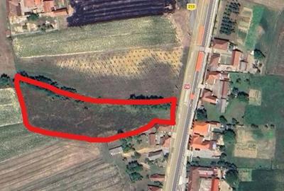 Spațiu comercial, în Dușești - 3