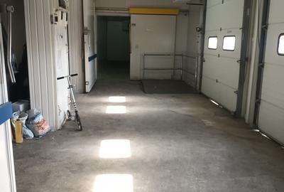 Depozit 600mp Techirghiol - 15