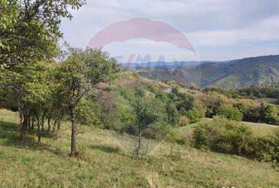 Teren de 3082 mp, în Damiș - 9