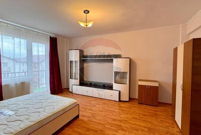 Apartament cu 1 camera, de inchiriat, zona Intre Lacuri, Str. Dunarii - 3