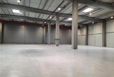 Spatiu Industrial - 5000 mp - Logistica - Productie - Depozitare - Distributie - 6
