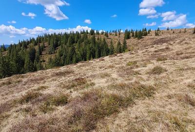 Spațiu comercial, în Petreasa - 4