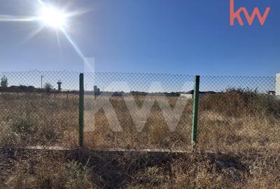 Teren Construibil 516 mp | Carcea - 1