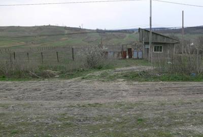 Teren Construcții intravilan de 6170 mp, în Negrești - 1