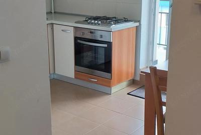 Garsonieră decomandată în Turnișor - 10