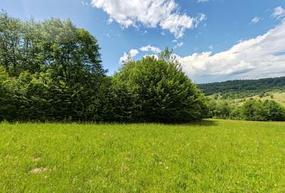 2,2 HA TEREN EXTRAVILAN FANEATA, Muntii Apuseni, Ciucea - Cluj, la 5 km de E60 - 8