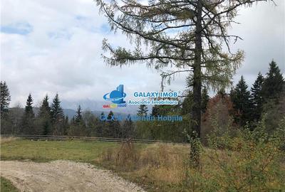 Teren intravilan de 850 mp, în Clăbucet - 2