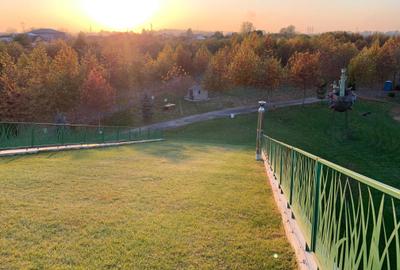 Spațiu comercial, în Joița - 3