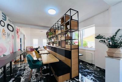 Vila amenajata, 250 mp, curte de 450 mp, zona Gradinii Botan - 14