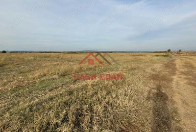 Casă cu Teren 10000 Mp în Băicoi - 7