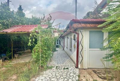 Inchiriere casa zona Andronache - 15