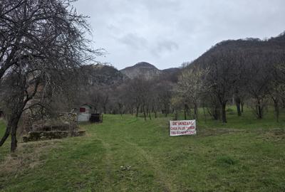 Casă cu 3 camere în Costești - 6