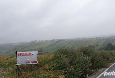 Teren de 2900 mp, în Tătăruși - 3