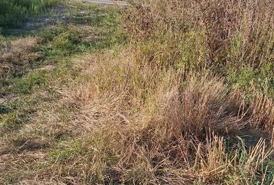 MCD Expert Imobiliare Vanzare teren agricol, Zona Izvoare - 1