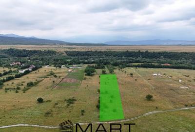 Teren de 5000 mp, în Avrig - 9