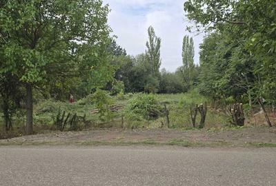 Teren de 4064 mp, în Călacea - 2