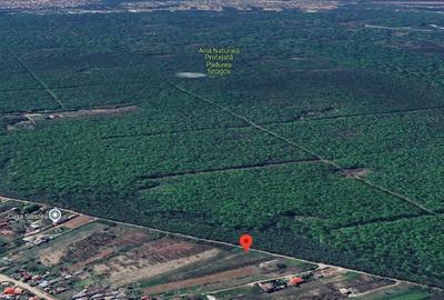 Teren intravilan 2000 mp,  Silistea Snagovului - Front PADURE( 38 ml Front - 2