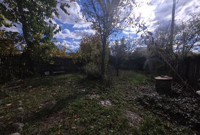 Casa vacanta zona colinara la 5 minute de municipiul Targoviste Casa vacanta zona colinara la 5 minute de municipiul Targoviste - 12