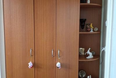 Apartament cu 2 camere semidecomandat în Gojdu - 10