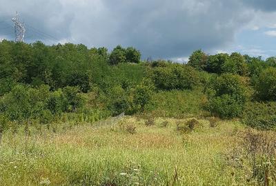 Parava, sat Dragusani, teren 4800mp, la asfalt - 9