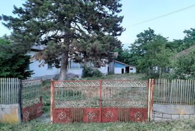 Casă cu 4 camere în Fâlfani - 5