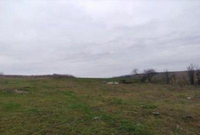 Teren de 4240 mp, în Tăutești - 4