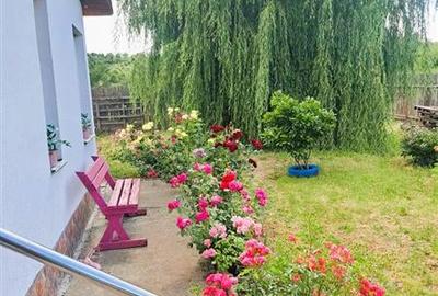 Casă individuală cu 2 camere cu Teren 864 Mp în Bod - 11