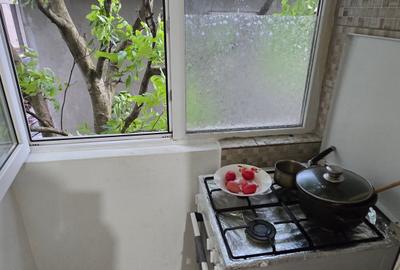 Garsonieră semidecomandată în Giurgiului - 12