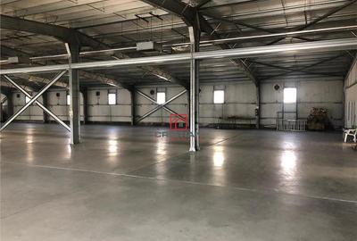 Depozit/hala/spatiu industrial Pantelimon - Colentina - Fun - 2