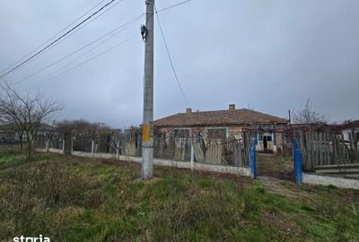 Casă cu 3 camere cu Teren 1763 Mp în Topraisar - 8