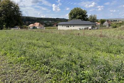 Teren de 1263 mp, în Ruși - 1