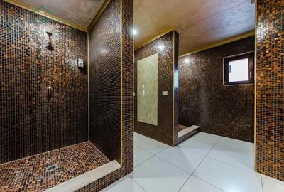 Vila cu 5 camere, piscina ?i 805 mp teren, zona Vladimirescu, Arad - 2