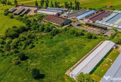 Teren de 9335 mp, în Teliu - 4
