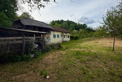 Casă cu 3 camere în Valea Nandrii - 3