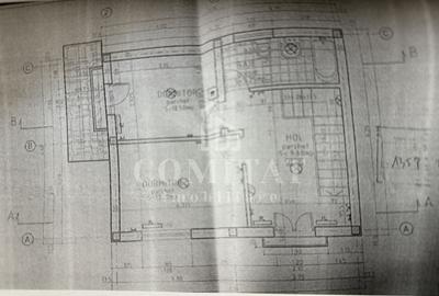 Casă individuală | 403 mp teren | Grigorescu - 16