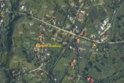 Casă cu 3 camere cu Teren 1481 Mp în Mogoșești - 4