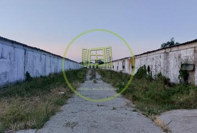 Spațiu industrial, de 7,000 mp, în Pielești - 2