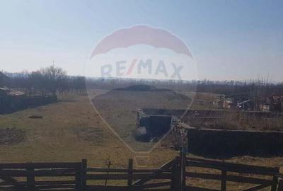 Teren 4,000mp Ilba - 1