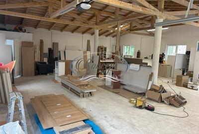 Hala productie sau depozitare - 4