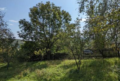 Casă cu 4 camere în Turda - 8