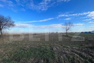 Teren de 7500 mp, în Central