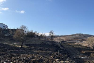 Teren de 800 mp, în Borhanci