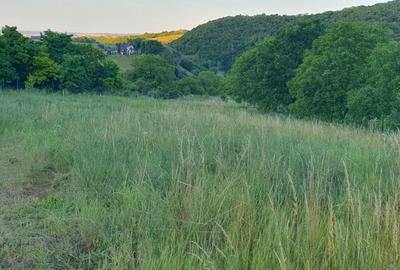 Spațiu comercial, în Moldovenești - 6