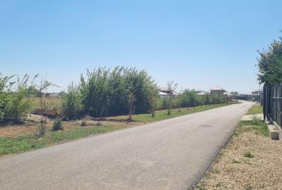 Teren intravilan Balotesti, Complex Good Afternoong - 4