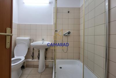 Garsonieră decomandată, mobilată în Muncii - 13