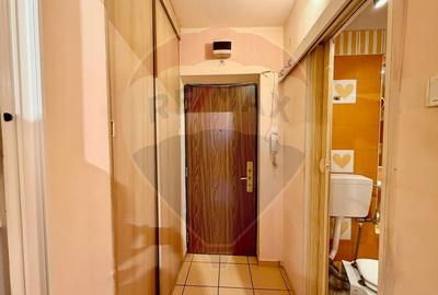 Vanzare garsoniera Metrou Costin Georgian Vanzare garsoniera Metrou Costin Georgian - 12